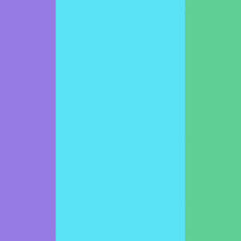 Fling Posse 後半