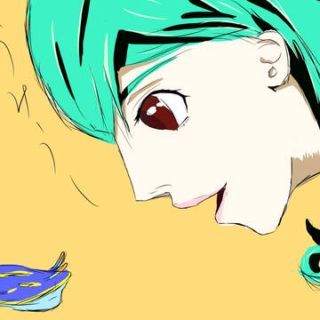まつり×アオウミウシ