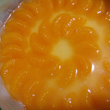 蜜柑まみれのレアチーズケーキ