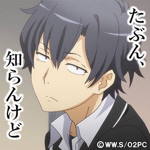 やはり俺の戸塚ラブは間違っていない