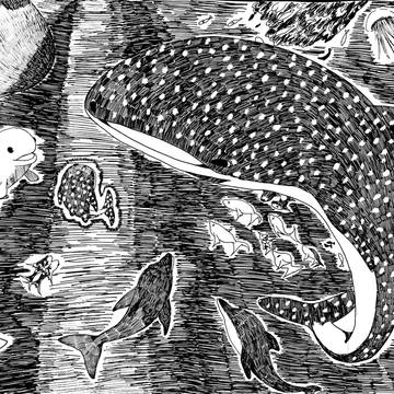海の生き物