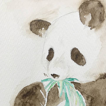 ぱんだ