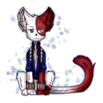 Shouto Kitty Plush