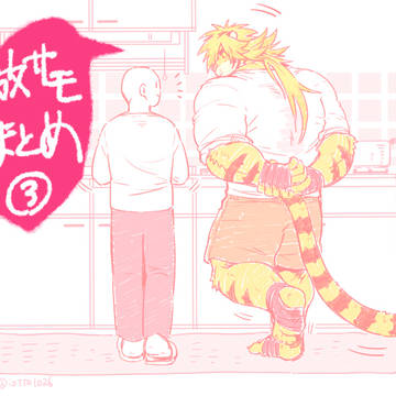 放サモ まとめ③