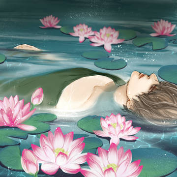 睡蓮