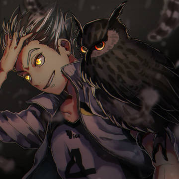 フクロウ