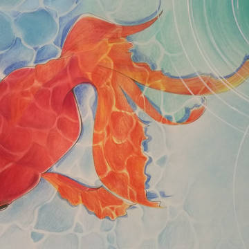 金魚