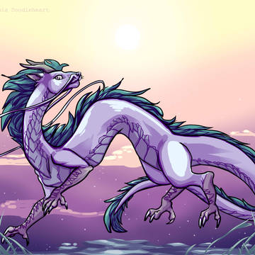 Haku