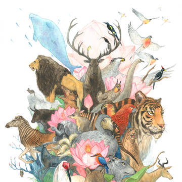１７世紀以降の絶滅野生動物