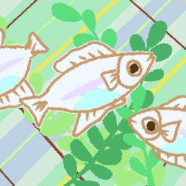 メダカ
