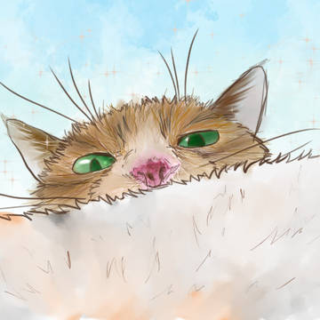 起きた？？