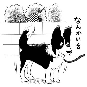 意外と鈍感