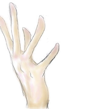 手
