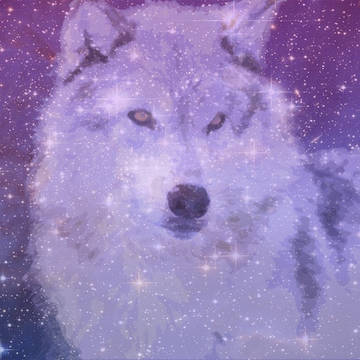 星とオオカミ