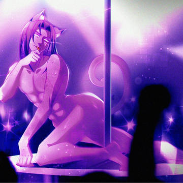 夜场小猫咪
