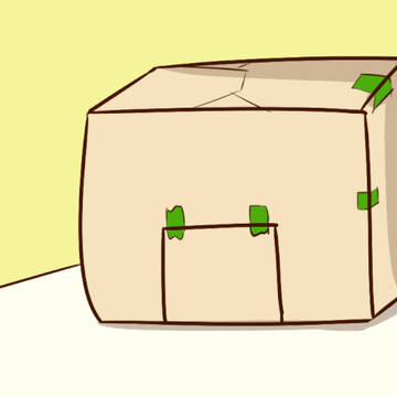 Box Pecora