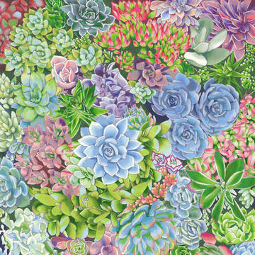 Succulents :)