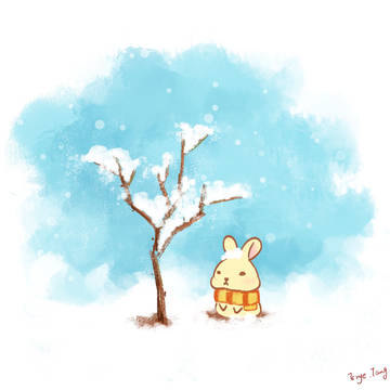 冬兔