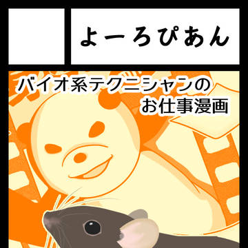 C95サークルカット
