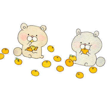 みかんもぐもぐ