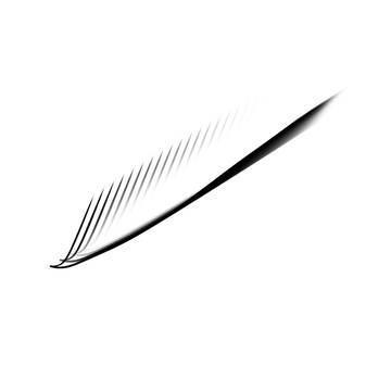 Feather