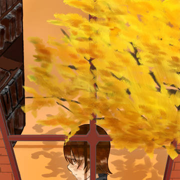 窓