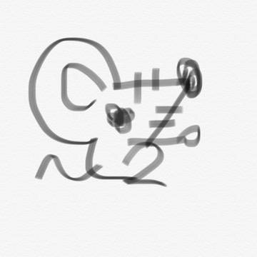 rat