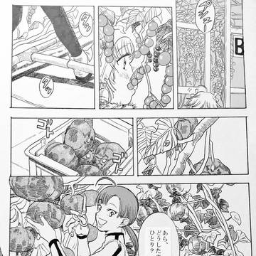 新刊です