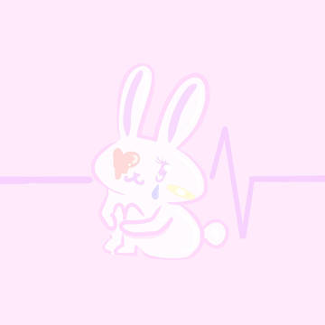 うさぎ　販売用