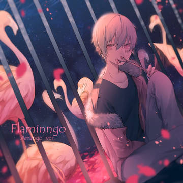 flamingo