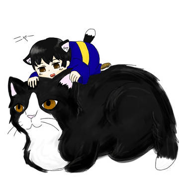 菊くんと　たま