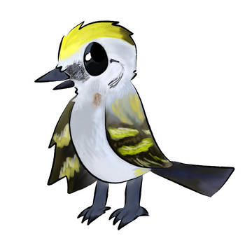 Burket's warbler
