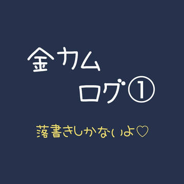 金カム ログ①