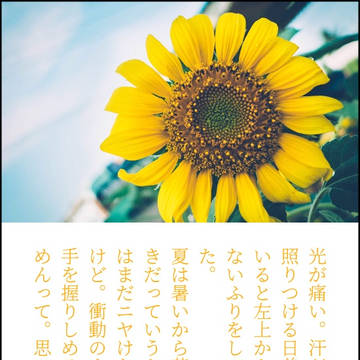 夏と戯れる恋人たち