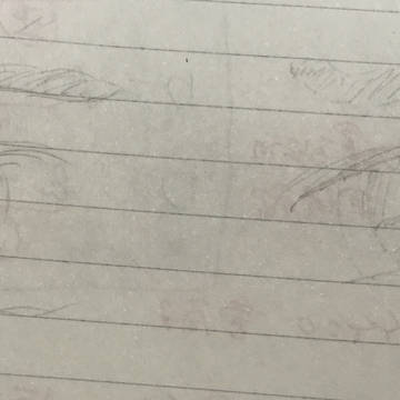 目