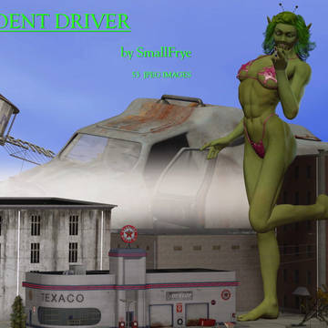 Student Driver images