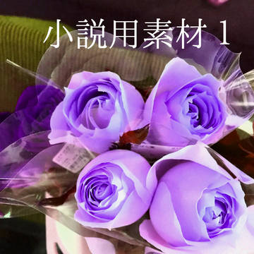 表紙用素材　薔薇。カラフル