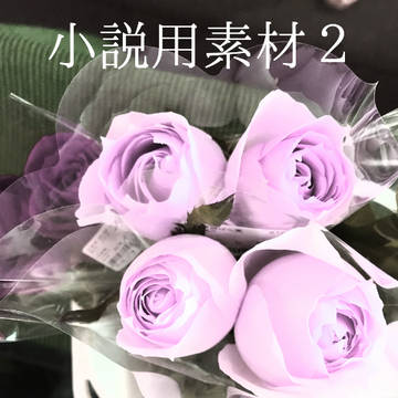 小説用表紙　薔薇。色抑えめ