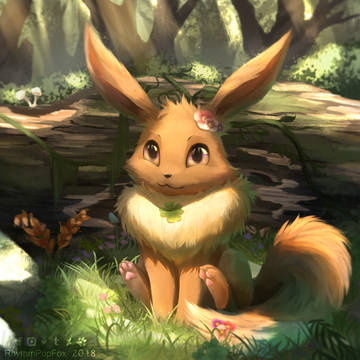 Eevee 伊布