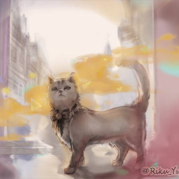 猫キャプ