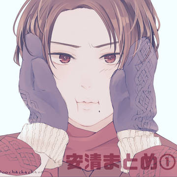 安清まとめ１