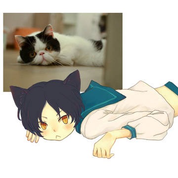 無題