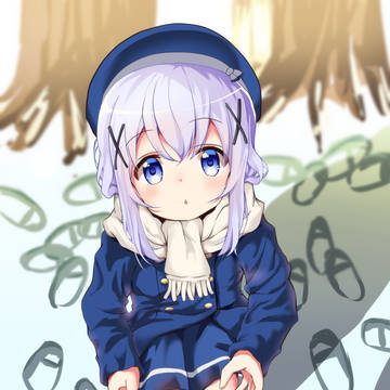 チノちゃん
