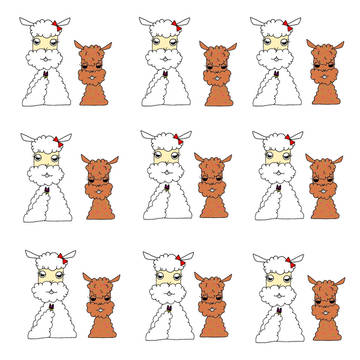 アルパカ