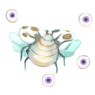 white ladybug
