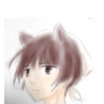 猫まんま