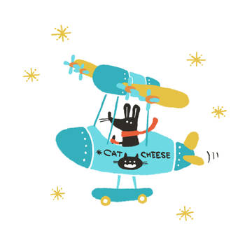 Flying boat