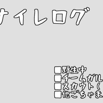 イナイレ過去ログ