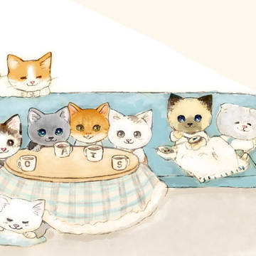 まるっこ猫