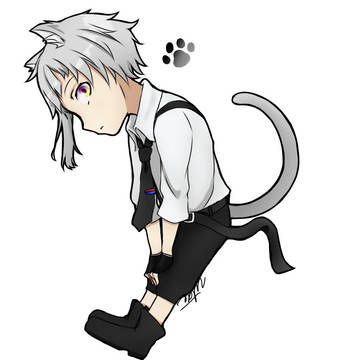 新旧双黒ねこにゃん🐾🐱